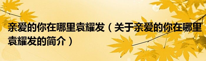 親愛的你在哪里袁耀發（關于親愛的你在哪里袁耀發的簡介）