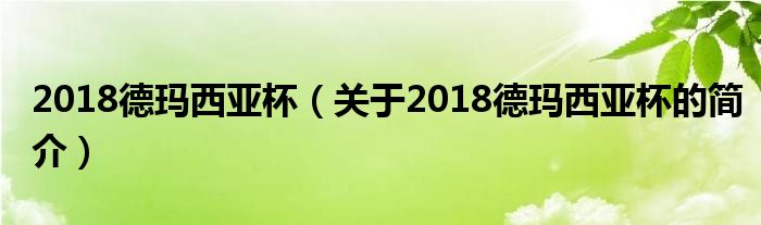 2018德瑪西亞杯（關于2018德瑪西亞杯的簡介）