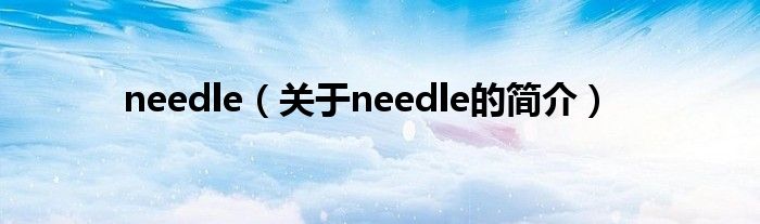 needle（關于needle的簡介）