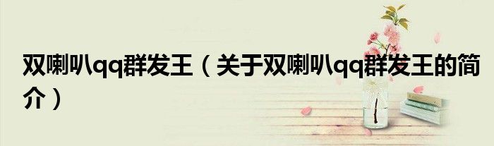 雙喇叭qq群發王（關于雙喇叭qq群發王的簡介）