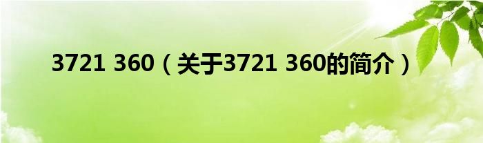 3721 360（關(guān)于3721 360的簡(jiǎn)介）