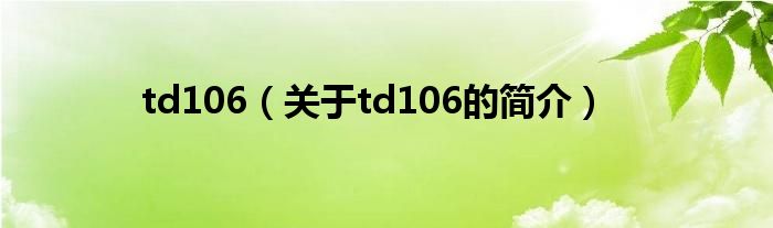 td106（關于td106的簡介）