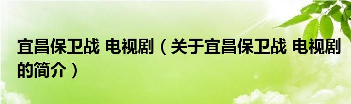 宜昌保衛(wèi)戰(zhàn) 電視劇（關(guān)于宜昌保衛(wèi)戰(zhàn) 電視劇的簡介）