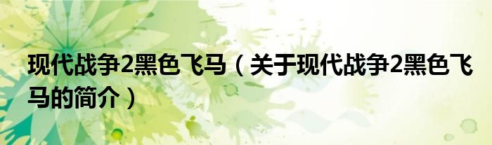 現代戰爭2黑色飛馬（關于現代戰爭2黑色飛馬的簡介）