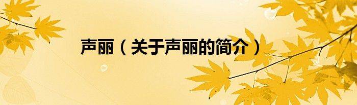 聲麗（關于聲麗的簡介）