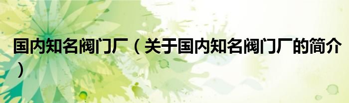 國(guó)內(nèi)知名閥門廠（關(guān)于國(guó)內(nèi)知名閥門廠的簡(jiǎn)介）