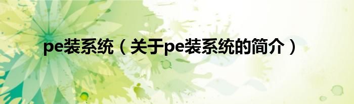 pe裝系統（關于pe裝系統的簡介）