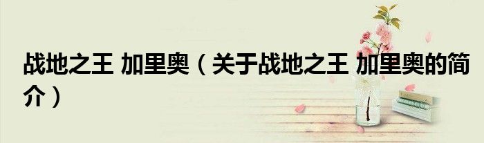 戰地之王 加里奧（關于戰地之王 加里奧的簡介）