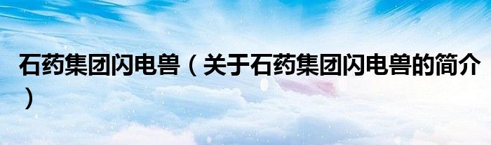 石藥集團閃電獸（關于石藥集團閃電獸的簡介）