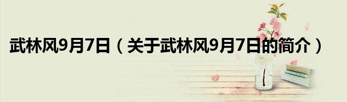 武林風9月7日（關于武林風9月7日的簡介）