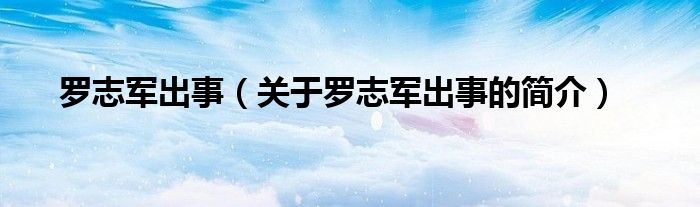羅志軍出事（關于羅志軍出事的簡介）