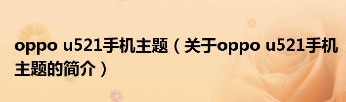 oppo u521手機主題（關于oppo u521手機主題的簡介）