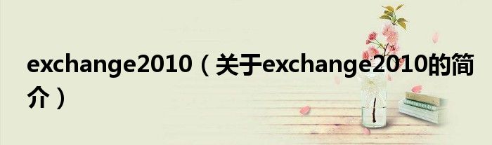 exchange2010（關于exchange2010的簡介）