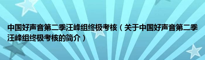 中國好聲音第二季汪峰組終極考核（關于中國好聲音第二季汪峰組終極考核的簡介）