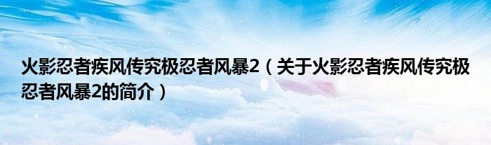 火影忍者疾風傳究極忍者風暴2（關于火影忍者疾風傳究極忍者風暴2的簡介）