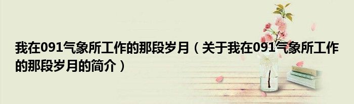 我在091氣象所工作的那段歲月（關于我在091氣象所工作的那段歲月的簡介）