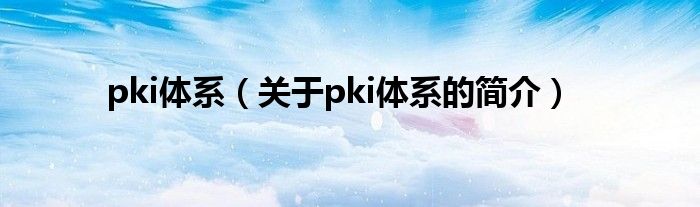 pki體系（關于pki體系的簡介）