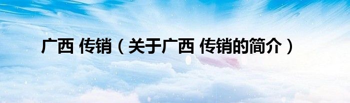 廣西 傳銷（關于廣西 傳銷的簡介）