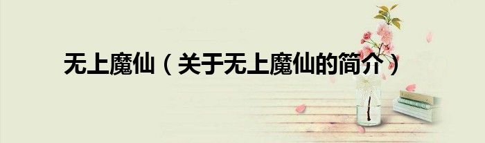 無上魔仙（關于無上魔仙的簡介）