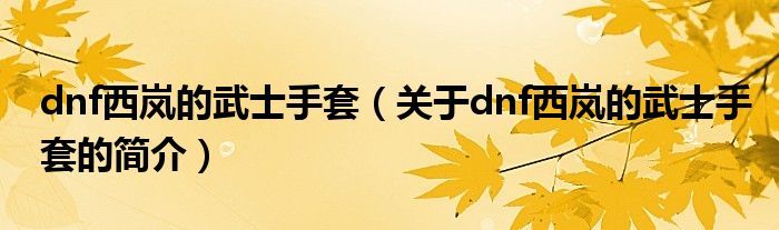 dnf西嵐的武士手套（關于dnf西嵐的武士手套的簡介）