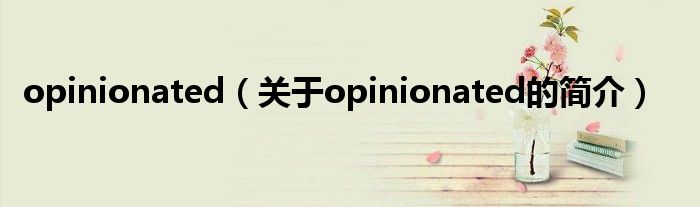 opinionated（關于opinionated的簡介）