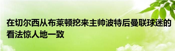 在切爾西從布萊頓挖來主帥波特后曼聯球迷的看法驚人地一致