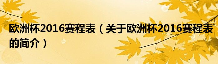 歐洲杯2016賽程表（關于歐洲杯2016賽程表的簡介）