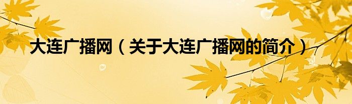大連廣播網（關于大連廣播網的簡介）