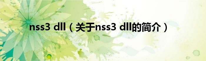 nss3 dll（關于nss3 dll的簡介）