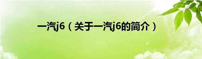 一汽j6（關于一汽j6的簡介）