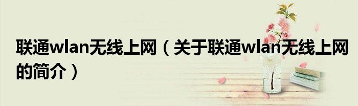 聯通wlan無線上網（關于聯通wlan無線上網的簡介）