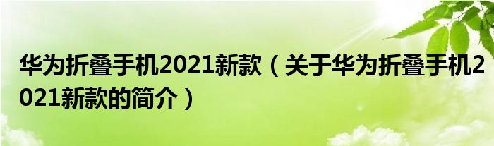 華為折疊手機2021新款（關于華為折疊手機2021新款的簡介）