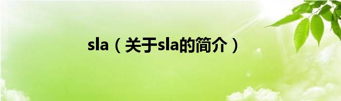 sla（關于sla的簡介）