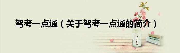 駕考一點通（關于駕考一點通的簡介）