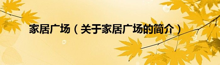 家居廣場（關于家居廣場的簡介）