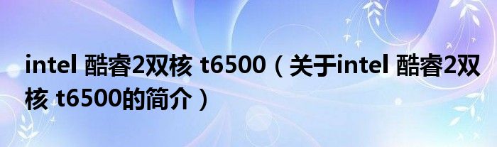 intel 酷睿2雙核 t6500（關于intel 酷睿2雙核 t6500的簡介）