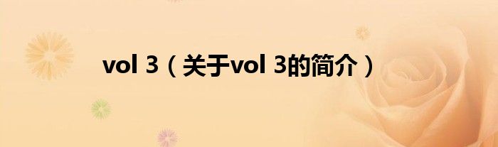 vol 3（關于vol 3的簡介）