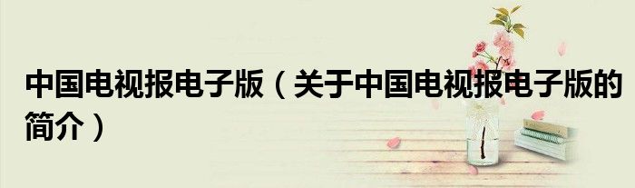 中國電視報電子版（關于中國電視報電子版的簡介）