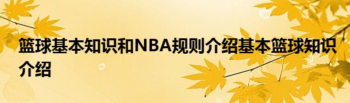 籃球基本知識和NBA規則介紹基本籃球知識介紹