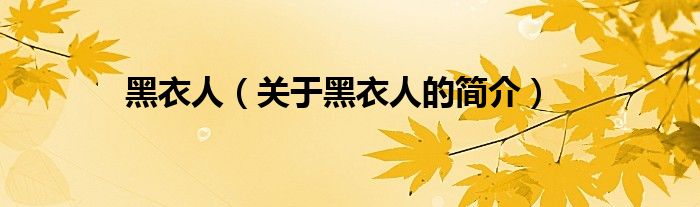 黑衣人（關(guān)于黑衣人的簡(jiǎn)介）