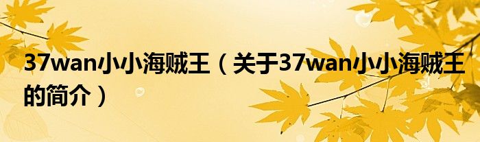 37wan小小海賊王（關于37wan小小海賊王的簡介）