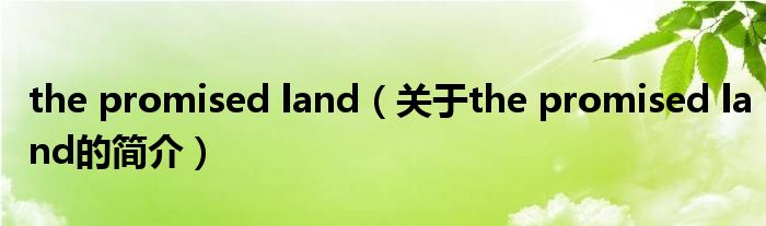 the promised land（關于the promised land的簡介）