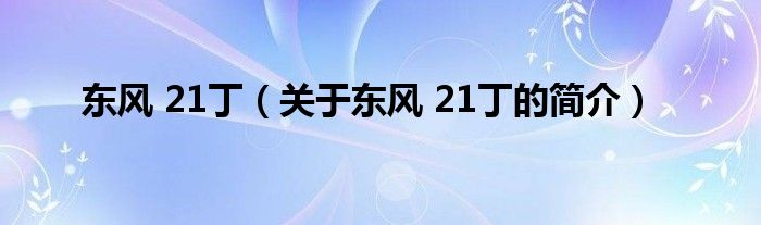 東風 21丁（關于東風 21丁的簡介）
