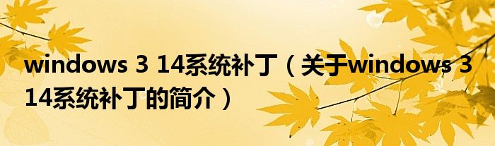 windows 3 14系統補丁（關于windows 3 14系統補丁的簡介）