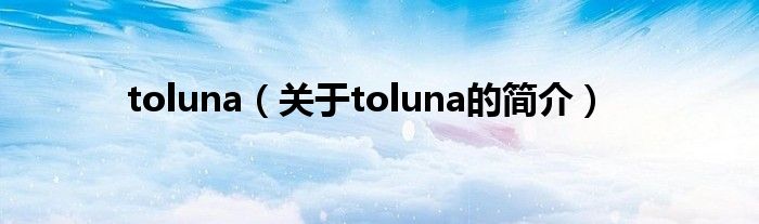 toluna（關于toluna的簡介）
