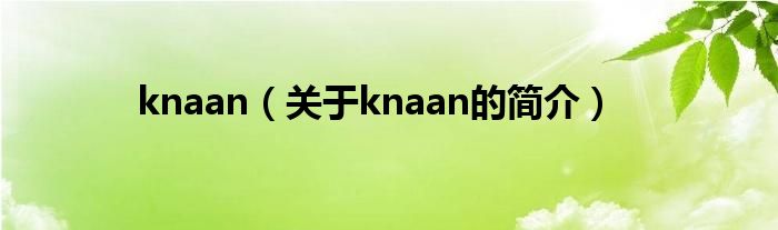 knaan（關于knaan的簡介）