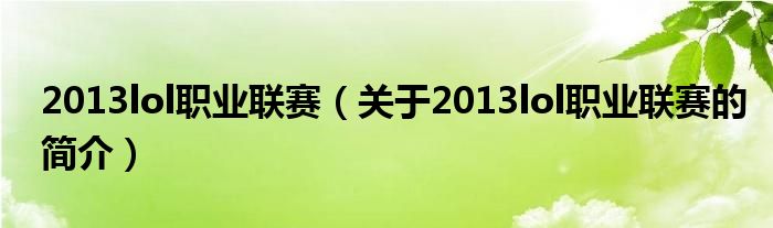 2013lol職業聯賽（關于2013lol職業聯賽的簡介）