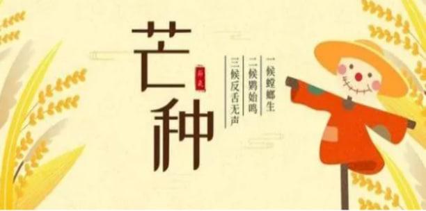 關(guān)于芒種節(jié)氣的養(yǎng)生不能忽視那些疾病？