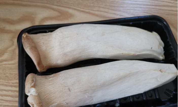 雞腿菇與杏鮑菇的區別