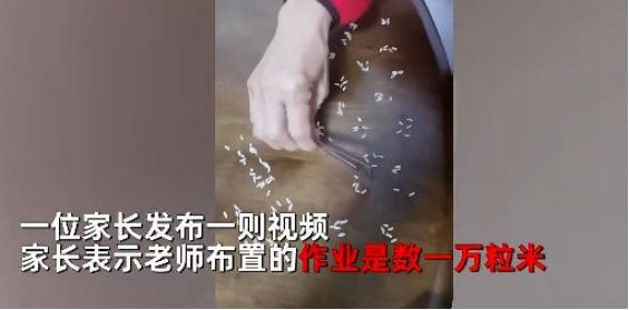 老師布置數一萬粒米 全家出動幫數